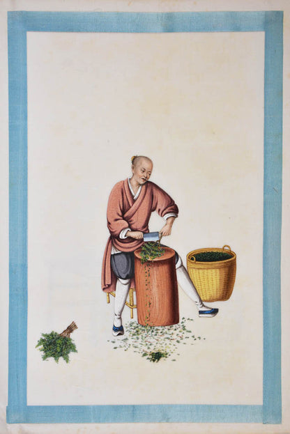 An excellent example of rare Chinese album on pith paper on tea cultivation depicting each process in detail
