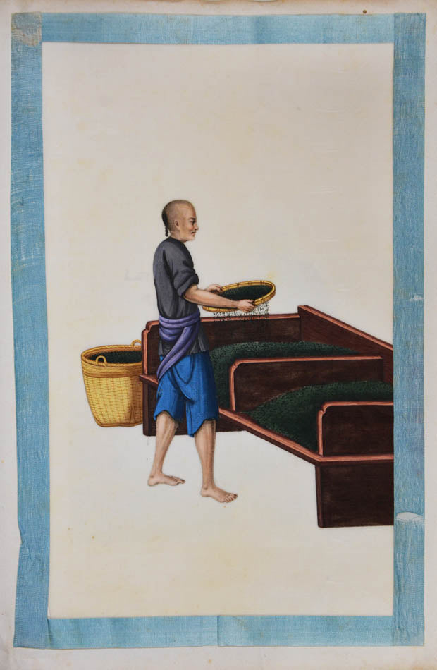 An excellent example of rare Chinese album on pith paper on tea cultivation depicting each process in detail