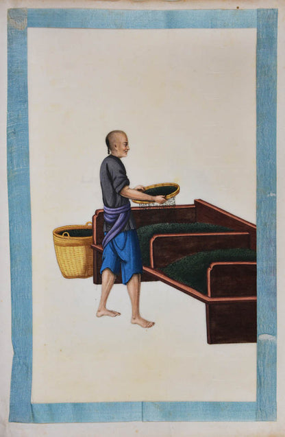 An excellent example of rare Chinese album on pith paper on tea cultivation depicting each process in detail