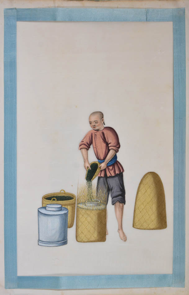 An excellent example of rare Chinese album on pith paper on tea cultivation depicting each process in detail