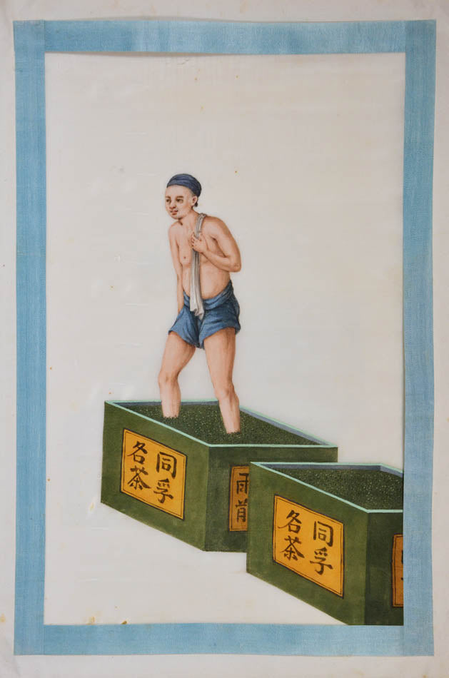 An excellent example of rare Chinese album on pith paper on tea cultivation depicting each process in detail