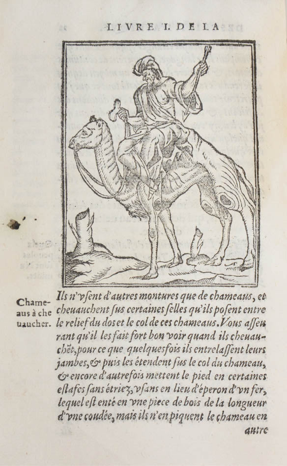 The first book on Africa written by an African. The woodcuts include personifications of Africa, Arabia, Egypt, Alexandria and the Nile.
