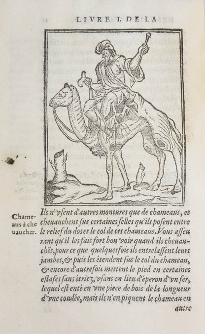 The first book on Africa written by an African. The woodcuts include personifications of Africa, Arabia, Egypt, Alexandria and the Nile.