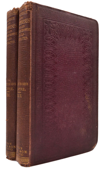 Wyse's describes his travels in 1858 including the state of the countryside and includes much political and economic commentary.