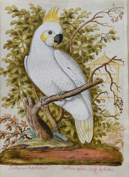 rich botanical and architectural decoration extending beyond the engraved matter. The copy has been enhanced by the addition of 15 original watercolours 