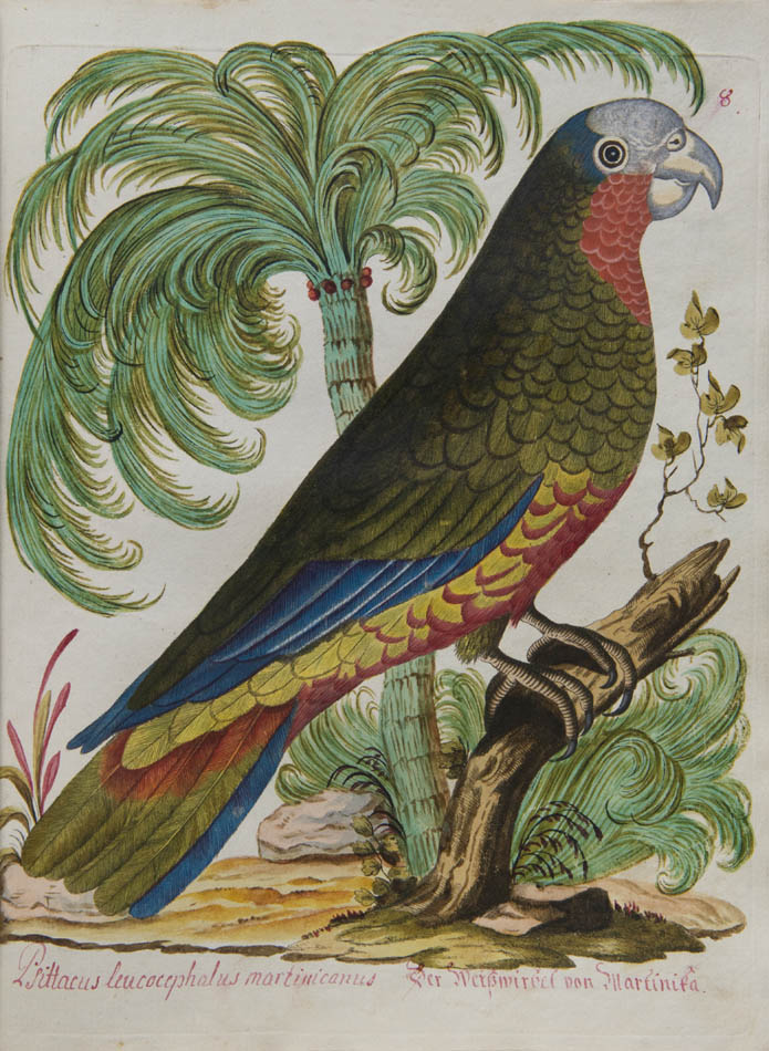 rich botanical and architectural decoration extending beyond the engraved matter. The copy has been enhanced by the addition of 15 original watercolours 