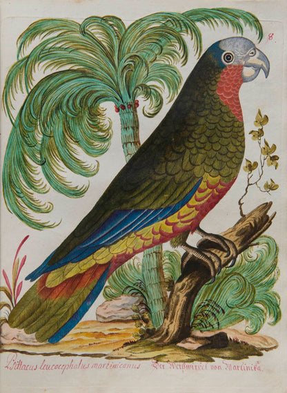 rich botanical and architectural decoration extending beyond the engraved matter. The copy has been enhanced by the addition of 15 original watercolours 