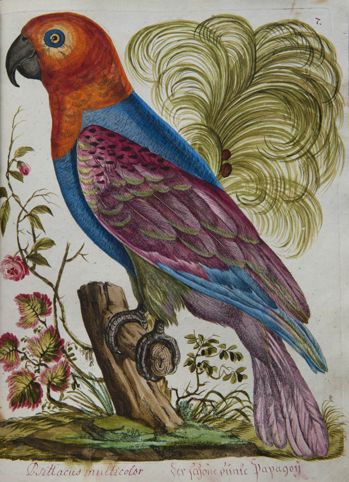 rich botanical and architectural decoration extending beyond the engraved matter. The copy has been enhanced by the addition of 15 original watercolours 