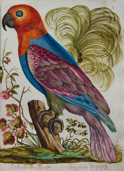 rich botanical and architectural decoration extending beyond the engraved matter. The copy has been enhanced by the addition of 15 original watercolours 
