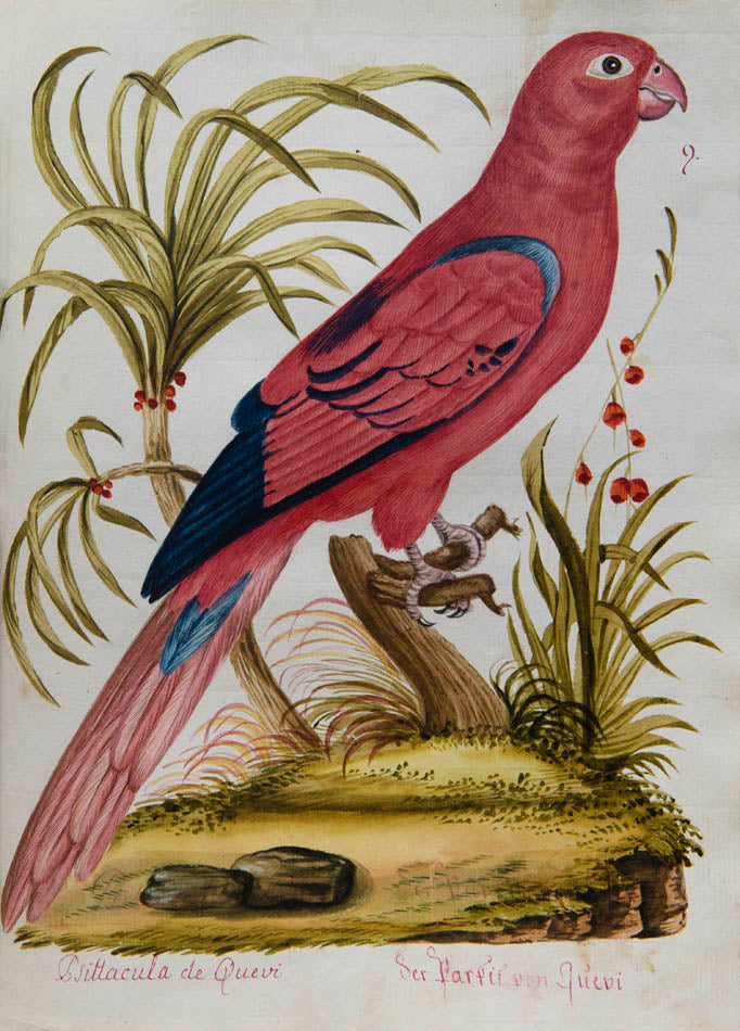 rich botanical and architectural decoration extending beyond the engraved matter. The copy has been enhanced by the addition of 15 original watercolours 