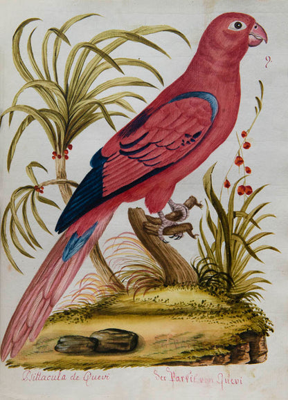 rich botanical and architectural decoration extending beyond the engraved matter. The copy has been enhanced by the addition of 15 original watercolours 