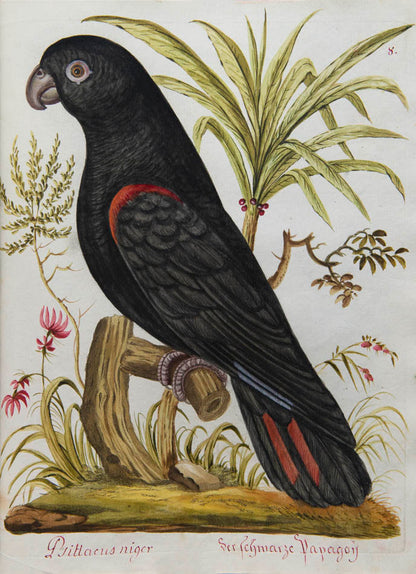 rich botanical and architectural decoration extending beyond the engraved matter. The copy has been enhanced by the addition of 15 original watercolours 