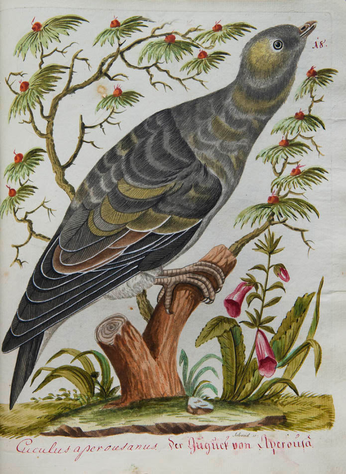 rich botanical and architectural decoration extending beyond the engraved matter. The copy has been enhanced by the addition of 15 original watercolours 