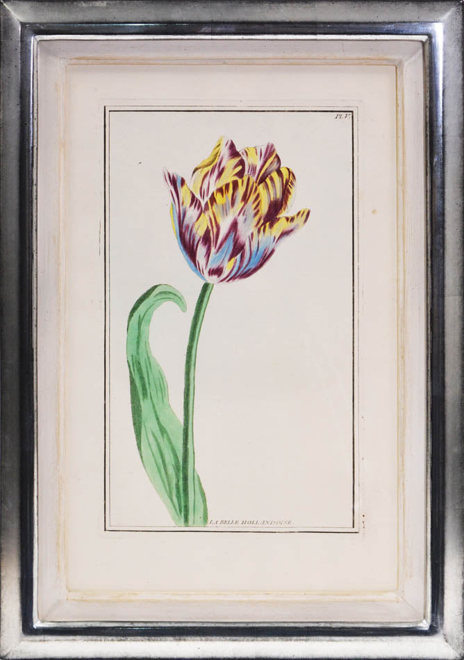 A fine group of rare flower plates, being part of <em>Le Jardin d'Eden,</em> together the <em>Collection des Fleurs de la Chine & de l'Europe,</em> 1776.