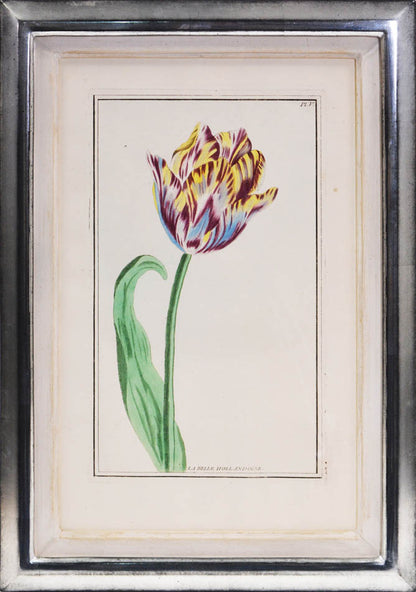 A fine group of rare flower plates, being part of <em>Le Jardin d'Eden,</em> together the <em>Collection des Fleurs de la Chine & de l'Europe,</em> 1776.