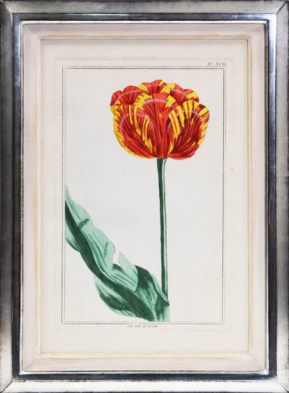 A fine group of rare flower plates, being part of <em>Le Jardin d'Eden,</em> together the <em>Collection des Fleurs de la Chine & de l'Europe,</em> 1776.