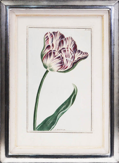 A fine group of rare flower plates, being part of <em>Le Jardin d'Eden,</em> together the <em>Collection des Fleurs de la Chine & de l'Europe,</em> 1776.