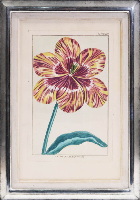 [A Group of Four Tulips].
