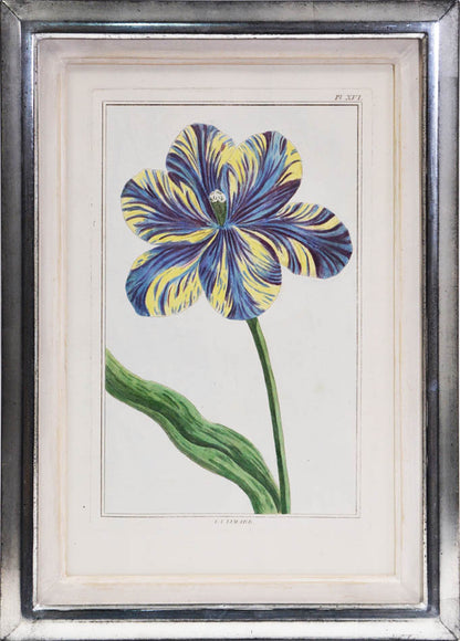 A fine group of rare flower plates, being part of Le Jardin d'Eden, together the Collection des Fleurs de la Chine & de l'Europe, 1776.