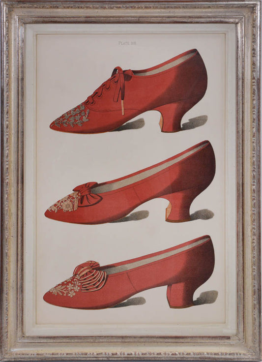ladies' shoes illustrated that have all belonged to and been worn by ladies of the 19th century. Each page has nearly life sized shoe.<br />