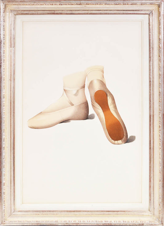 Ladies`shoes belonged  to and be worn by ladies of the 19th century. nearly life-sized shoes, chromolithographed illustration.