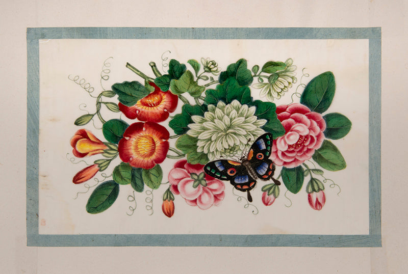 A fine group of Chinese export watercolours showing flowers and butterflies.