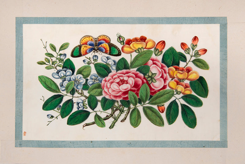 A fine group of Chinese export watercolours showing flowers and butterflies.