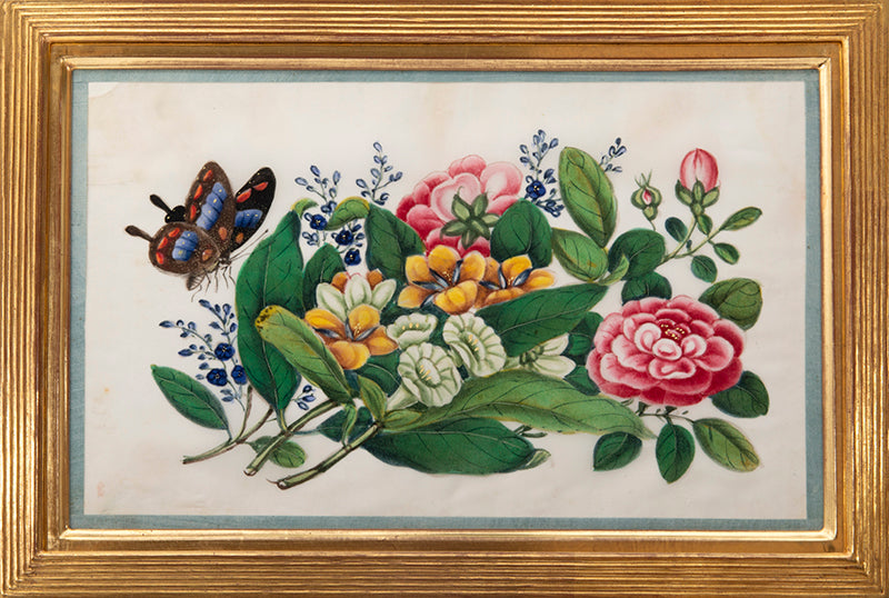 A fine group of Chinese export watercolours showing flowers and butterflies.