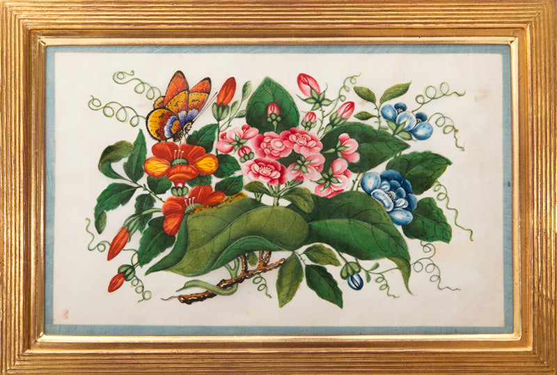 A fine group of Chinese export watercolours showing flowers and butterflies.