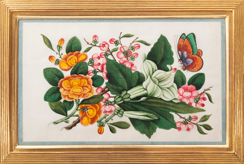 A fine group of Chinese export watercolours showing flowers and butterflies.