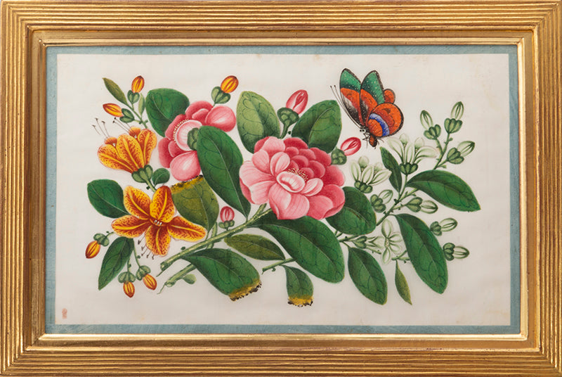 A fine group of Chinese export watercolours showing flowers and butterflies.