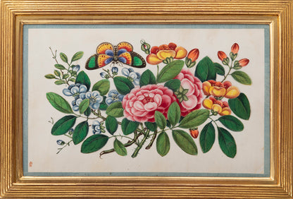 A fine group of Chinese export watercolours showing flowers and butterflies.