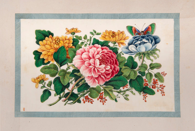A fine group of Chinese export watercolours showing flowers and butterflies.