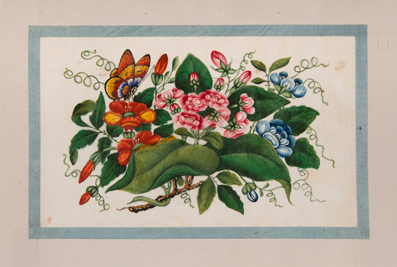 A fine group of Chinese export watercolours showing flowers and butterflies.