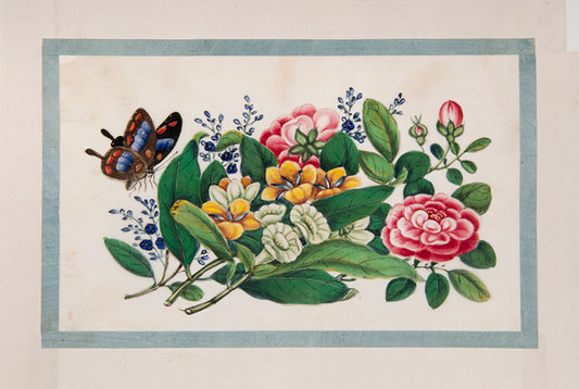 A fine group of Chinese export watercolours showing flowers and butterflies.