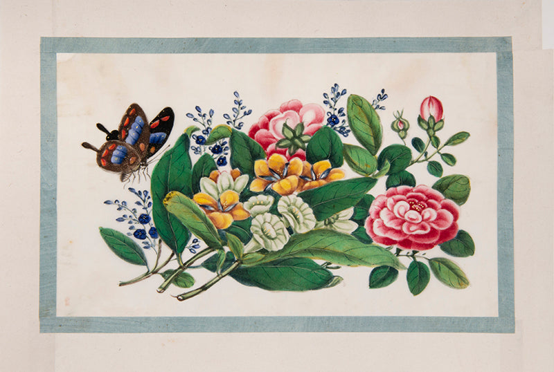 A fine group of Chinese export watercolours showing flowers and butterflies.