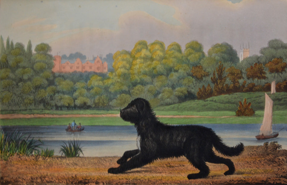 15 hand-coloured aquatints by Rawlins, publisher's green morocco, a very good copy