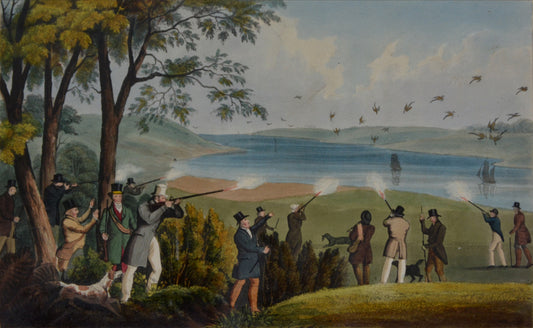 15 hand-coloured aquatints by Rawlins, publisher's green morocco, a very good copy