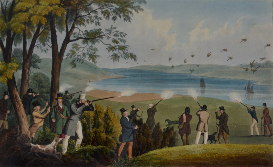 15 hand-coloured aquatints by Rawlins, publisher's green morocco, a very good copy