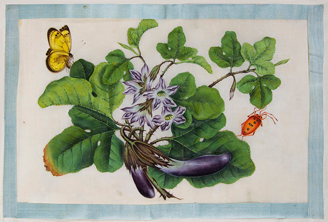 A rare set of albums by Tingqua also known as Guan Lianchang was the younger brother of Lam Qua and was the most famous of the Canton artists. 