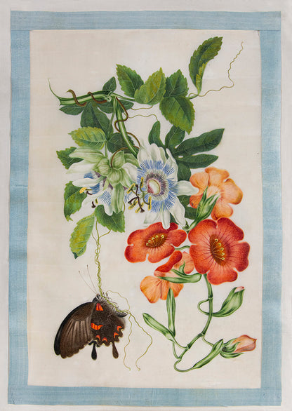 A rare set of albums by Tingqua also known as Guan Lianchang was the younger brother of Lam Qua and was the most famous of the Canton artists. 