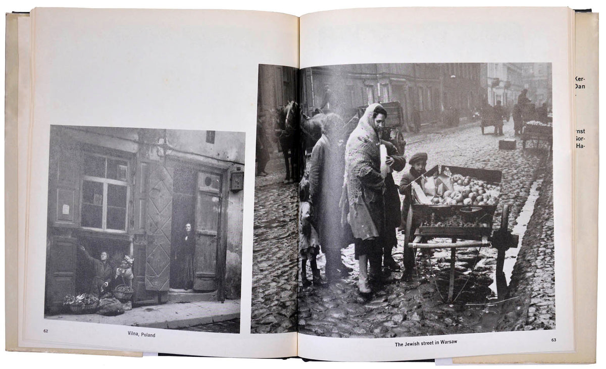 Ninety-eight photographs in this book, twenty of which are in colour, are divided almost equally between life that is invisible, or the life that vanished