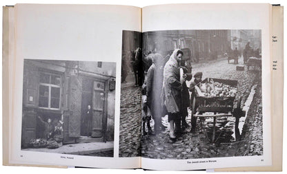 Ninety-eight photographs in this book, twenty of which are in colour, are divided almost equally between life that is invisible, or the life that vanished