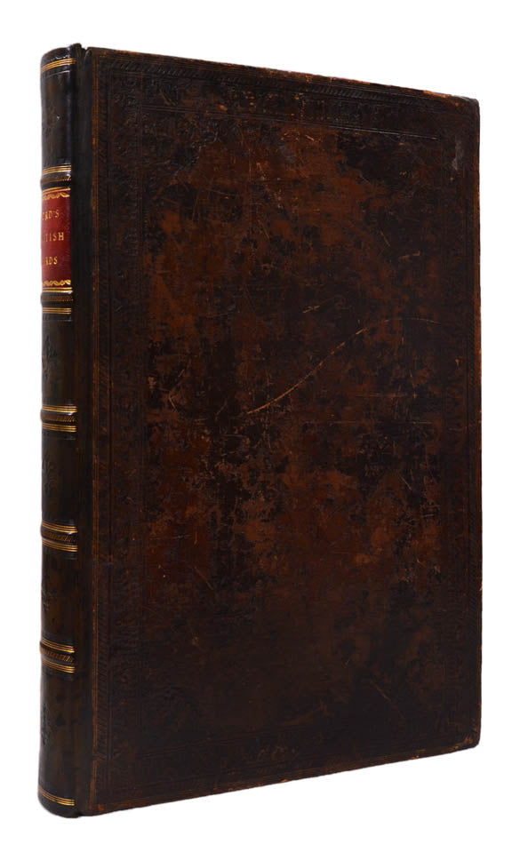 Lord's entire new system of ornithology.