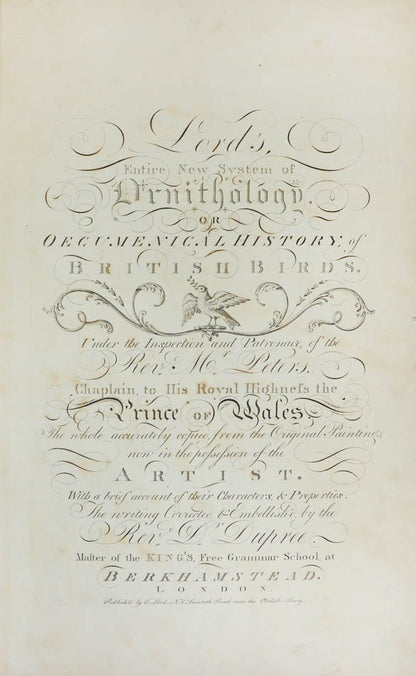 Lord's entire new system of ornithology.
