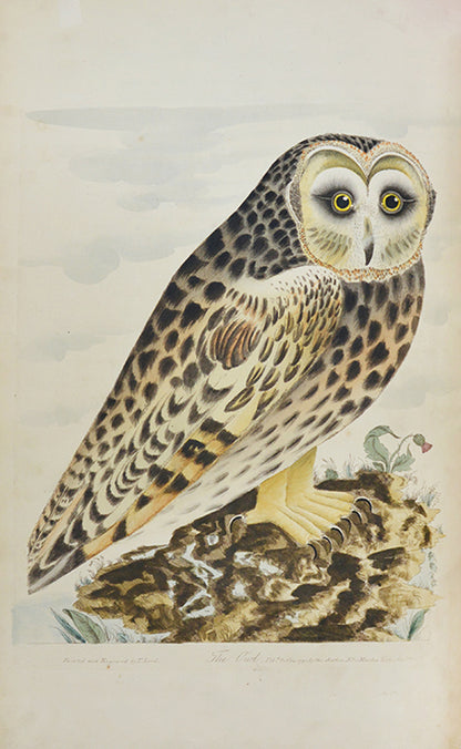 Lord's entire new system of ornithology.