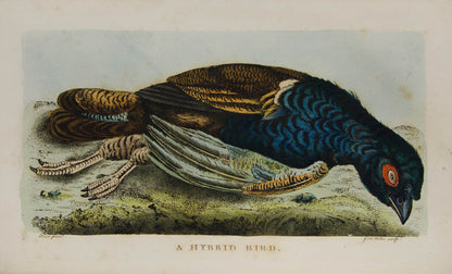 First detailed local fauna in Great Britain if not in the world.