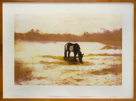 Etching with aquatint printed in colours, 2000-2001, signed in pencil, numbered from the edition of 46