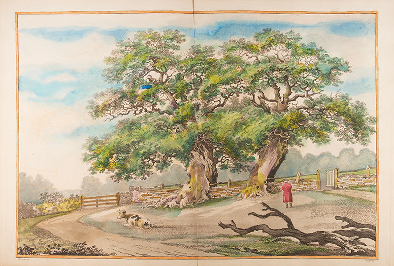 An essay on trees in landscape, Kennion, First edition with four additional hand coloured double page engravings, 54 in total, bound in modern half leather