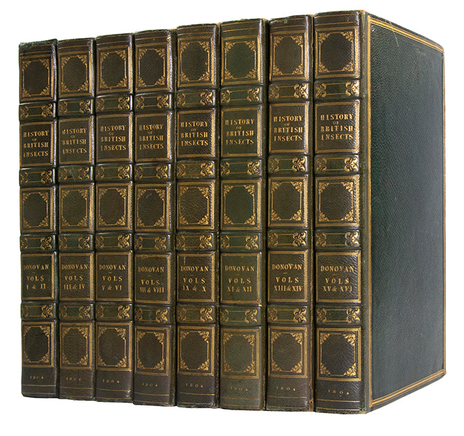 The Natural history of British Insects established Donovan's reputation. It contains high quality plates illustrating the life-cycles of the insects, 